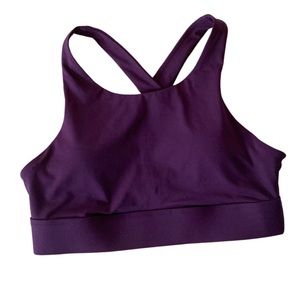 Fabletics New With Tag! Plum Ella High Impact Sports Bra Size Medium/8